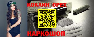 спиды Бийск