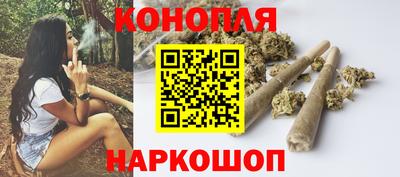спиды Бийск