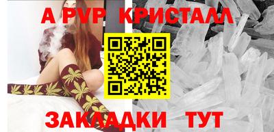 спиды Бийск