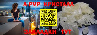 спиды Бийск